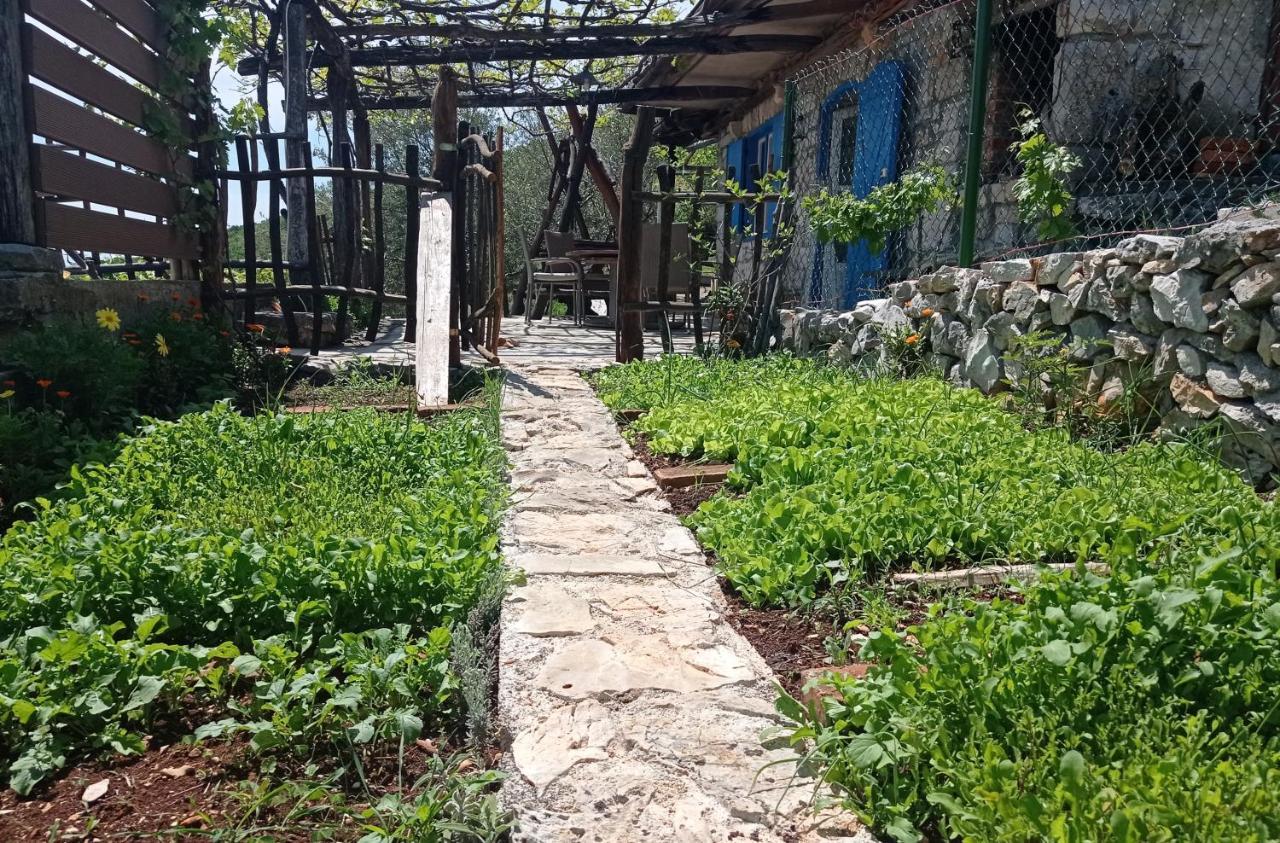 Casa Delle Olive Βίλα Mošćenička Draga Εξωτερικό φωτογραφία