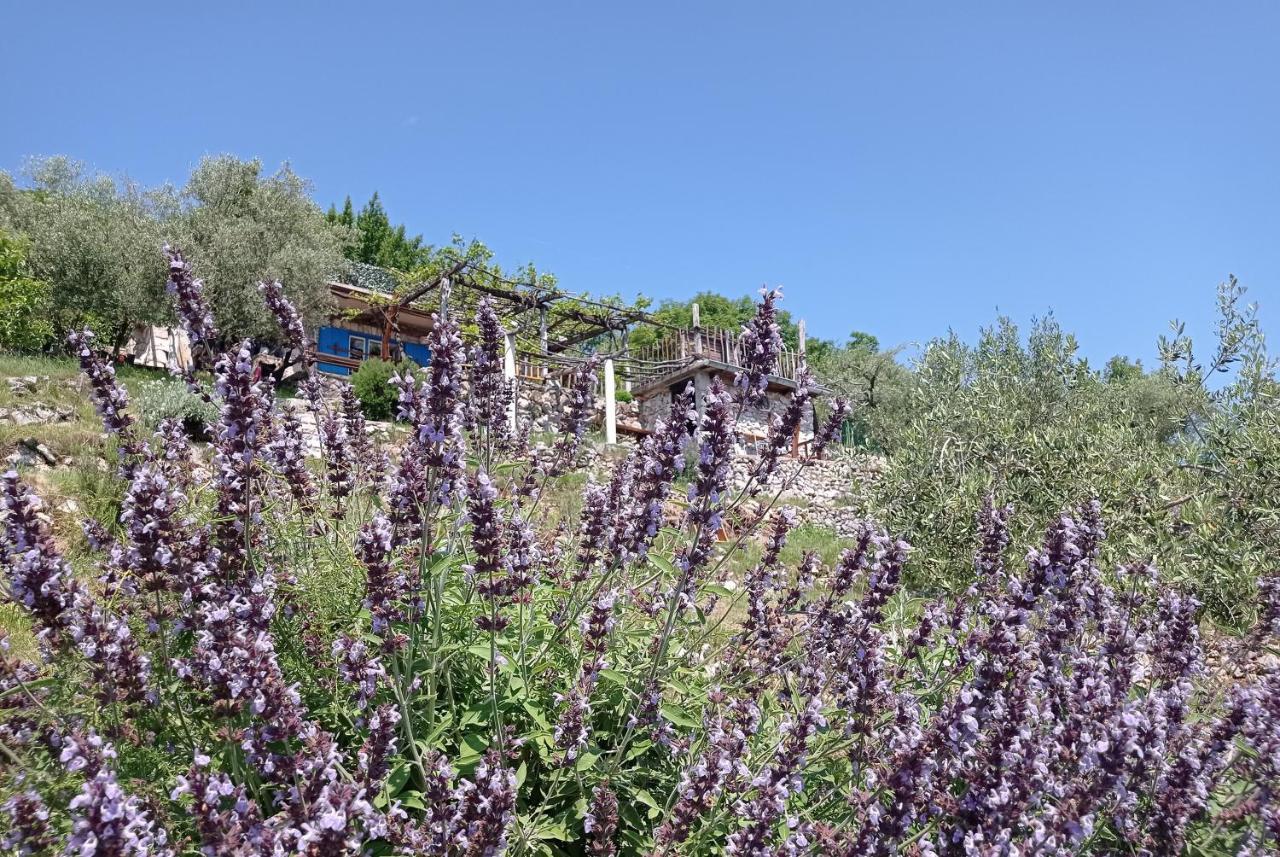 Casa Delle Olive Βίλα Mošćenička Draga Εξωτερικό φωτογραφία