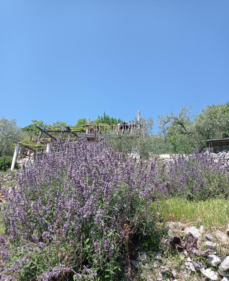 Casa Delle Olive Βίλα Mošćenička Draga Εξωτερικό φωτογραφία