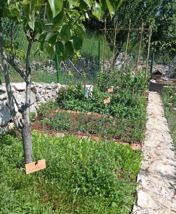 Casa Delle Olive Βίλα Mošćenička Draga Εξωτερικό φωτογραφία